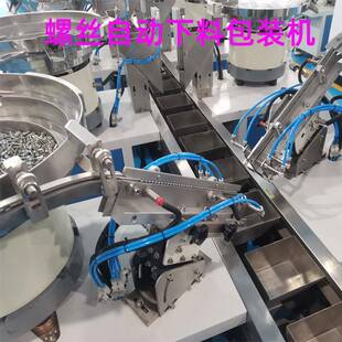 双盘丝自动点数包装机螺塑封功能五多金螺丝计立数式包装542机器