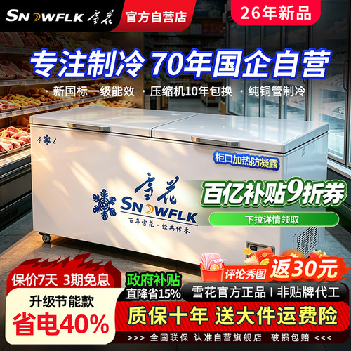 国企雪花【官方自营】商用大冰柜