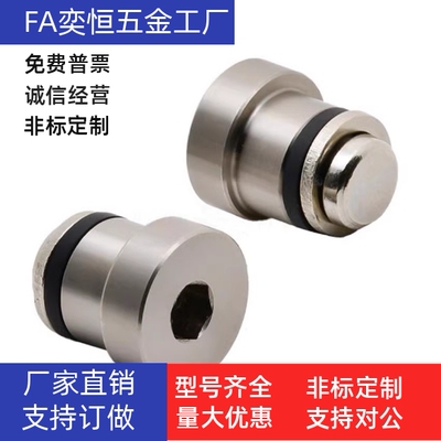 ICE11-T3.5/T5/ICE31-T3/T5//LLT3.5/LLT5/LLTA3/LLTA5导轨偏心销