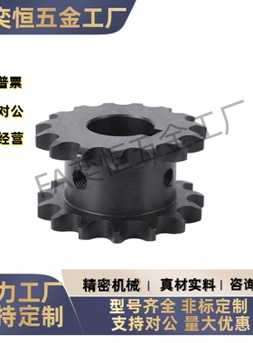 双驱链轮SP50SD12/13/14/15/16/17-N-18 20 25 28 30 35 40现货