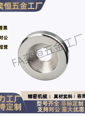 方型磁铁 BLS70/BLS71/BLS72/BLS73-A10 A12 A15 A20-T3T4T5 现货