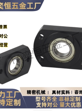 法兰型带座 调心球轴承BFK11 12 13-1204 1205 1206 1207ATN现货