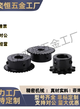 链轮BSP40B21 22 23 24 25-N-20 25 30