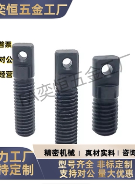 拉伸弹簧支柱FFD01-D3D4D5D6D8-L15L20L25L30L35L40L50L60L70现货