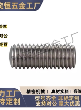 调整螺钉组件PAS15-M3M4M5M6M8- L10L15L20L25L30L35L40L45L50L60