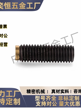 圆柱头挡块止动螺钉 TDA11-M6M8M10-L10L12L16L20L25L30L40L50L60