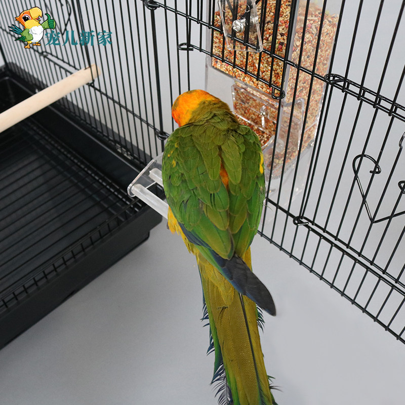 鹦鹉自动喂食器鸟 防甩食喂鸟器鸟食杯食槽 防撒防溅鸟食盒下料器,宠物/宠物食品及用品,鸟禽喂食器/喂水器,淘宝优惠券,粉丝福利购,淘宝优惠卷