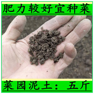 发酵腐熟柳树皮 兰花土 种植料盆景土营养土