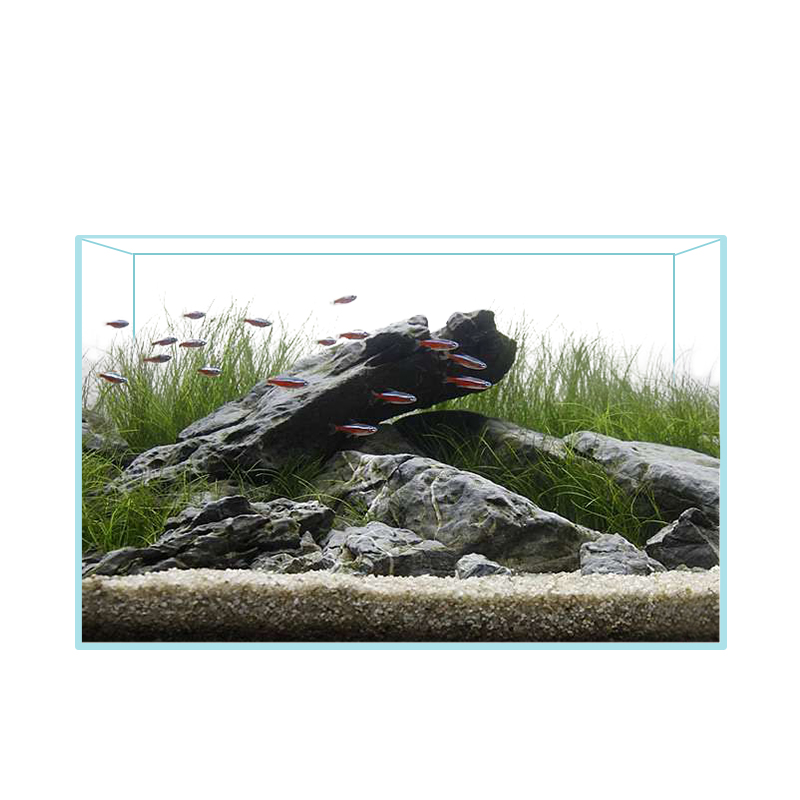 鱼缸超白玻璃造景观客厅小型中型桌面乌龟水族箱生态家用60水草40