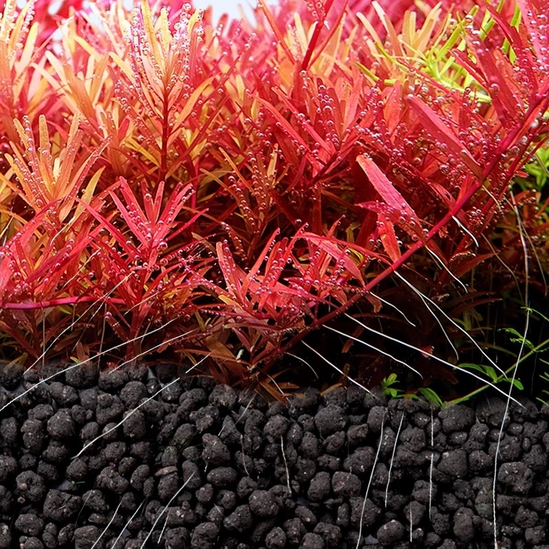 尼特利水草泥通用版自然粒基肥开缸伴侣鱼缸生态草缸专用底沙3L9L