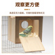 虎皮牡丹文鸟小木屋繁殖箱鹦鹉鸟箱鸟窝巢实木孵化居住保暖生蛋窝