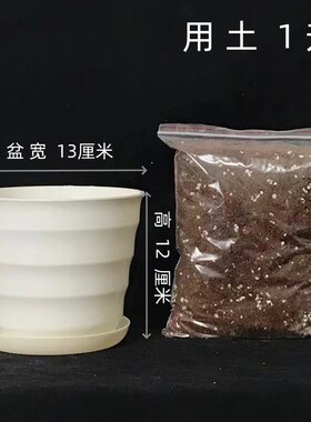 花盆营养土带土塑料白盆懒人盆自动吸水盆向日葵多肉种球薄荷泥土