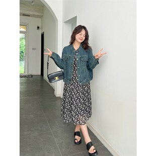 大码百分百女装夏季微胖mm小个子雪纺气质收腰娃娃领碎花连衣裙
