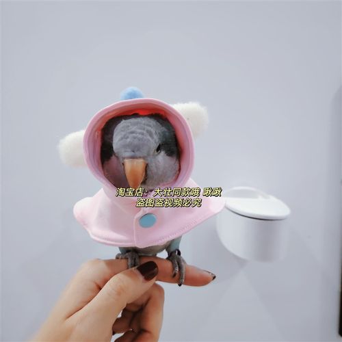 春款薄款鸟衣服鹦鹉披风斗篷防风保暖外出鹦鹉用品