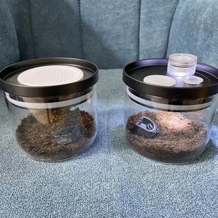 跳蛛盒蝈蝈笼子油葫芦蛐蛐电报蛉盒子竹蛉蝎子蜈蚣蜘蛛盒鸣虫叫罐