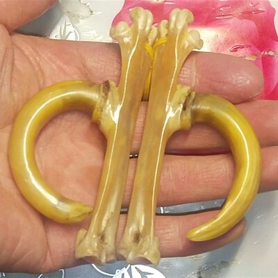 文玩鸡爪骨把件鸡蹬子手工制作传统骨玩抓钱手老鸡拐子盘玩骨艺