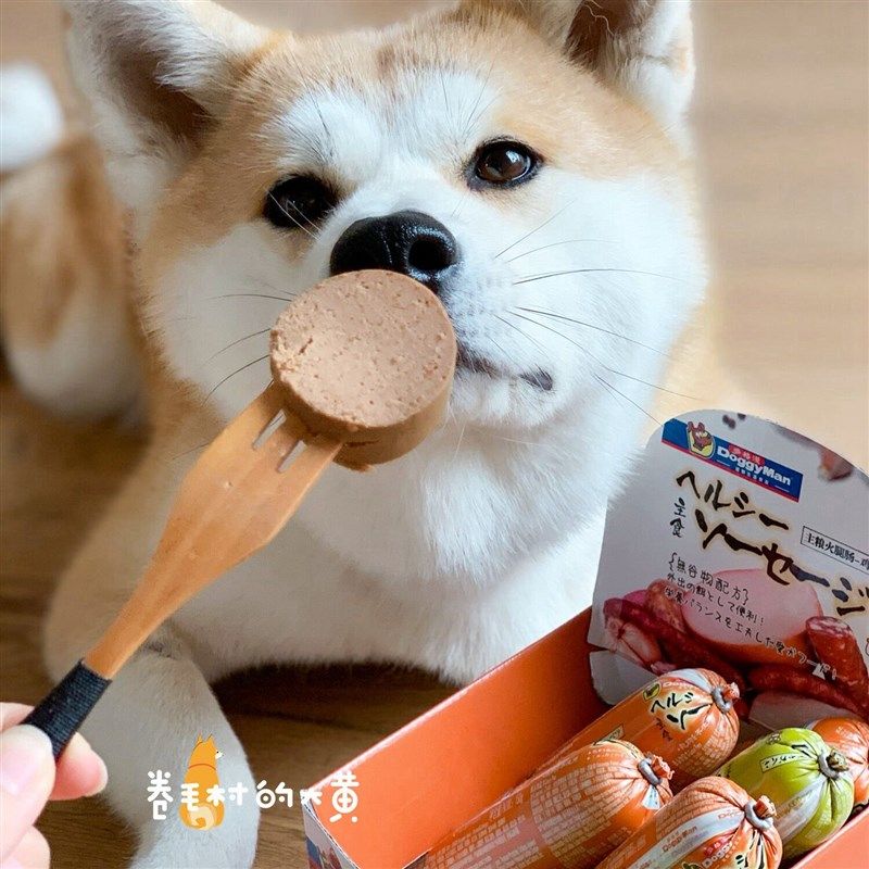 多格漫狗狗主粮火腿肠宠物香肠软狗粮湿粮狗零食鸡肉牛肉猪肉蔬菜,宠物/宠物食品及用品,狗风干零食/肉干/肉条,淘宝优惠券,粉丝福利购,淘宝优惠卷