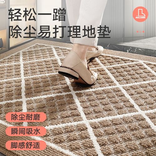大江地垫家用玄关耐磨进门垫户外门口进门防滑脚垫入户门除尘地毯
