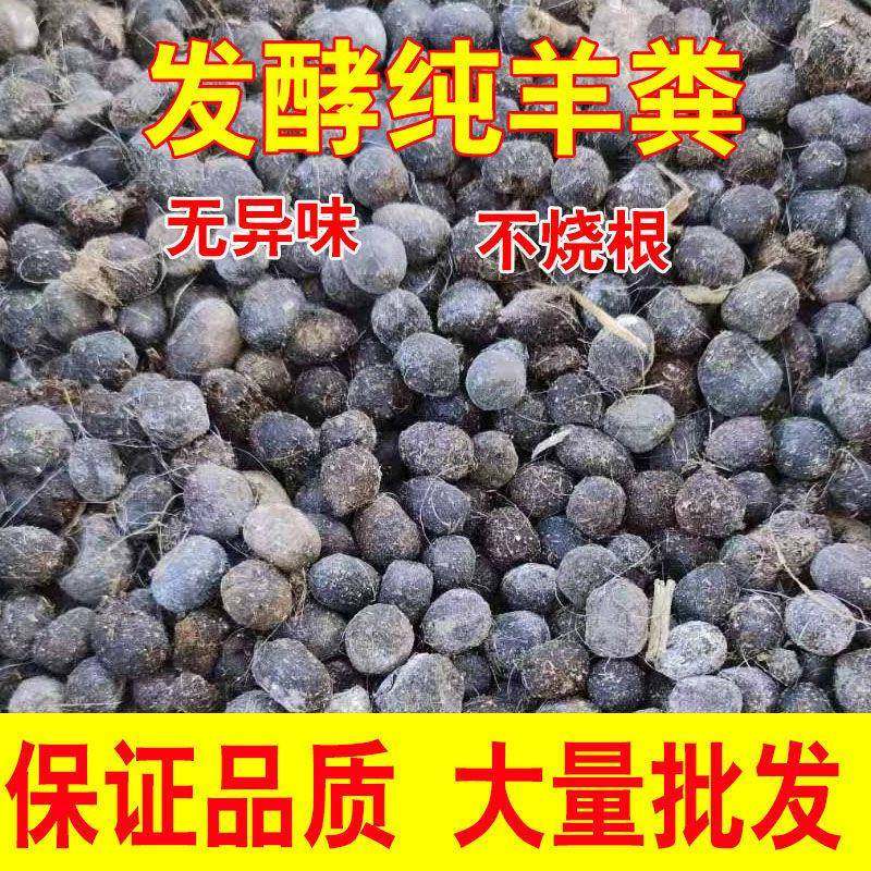 厂家直供H羊蛋发酵机颗粒缓释肥果树蔬菜花卉通用1粪00斤肥装一吨,农用物资,育苗/栽培基质,淘宝优惠券,粉丝福利购,淘宝优惠卷