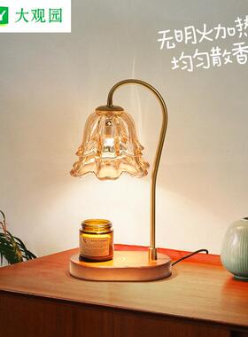 大观园头装饰朵灯网红创意花卧室床香薰床头灯客厅装饰融蜡47308