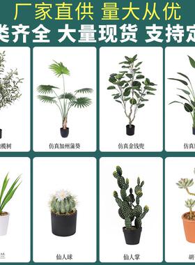 大型仿真植物欧装景饰绿植盆室内北大型栽绿植橱窗直播间AMD-swk1