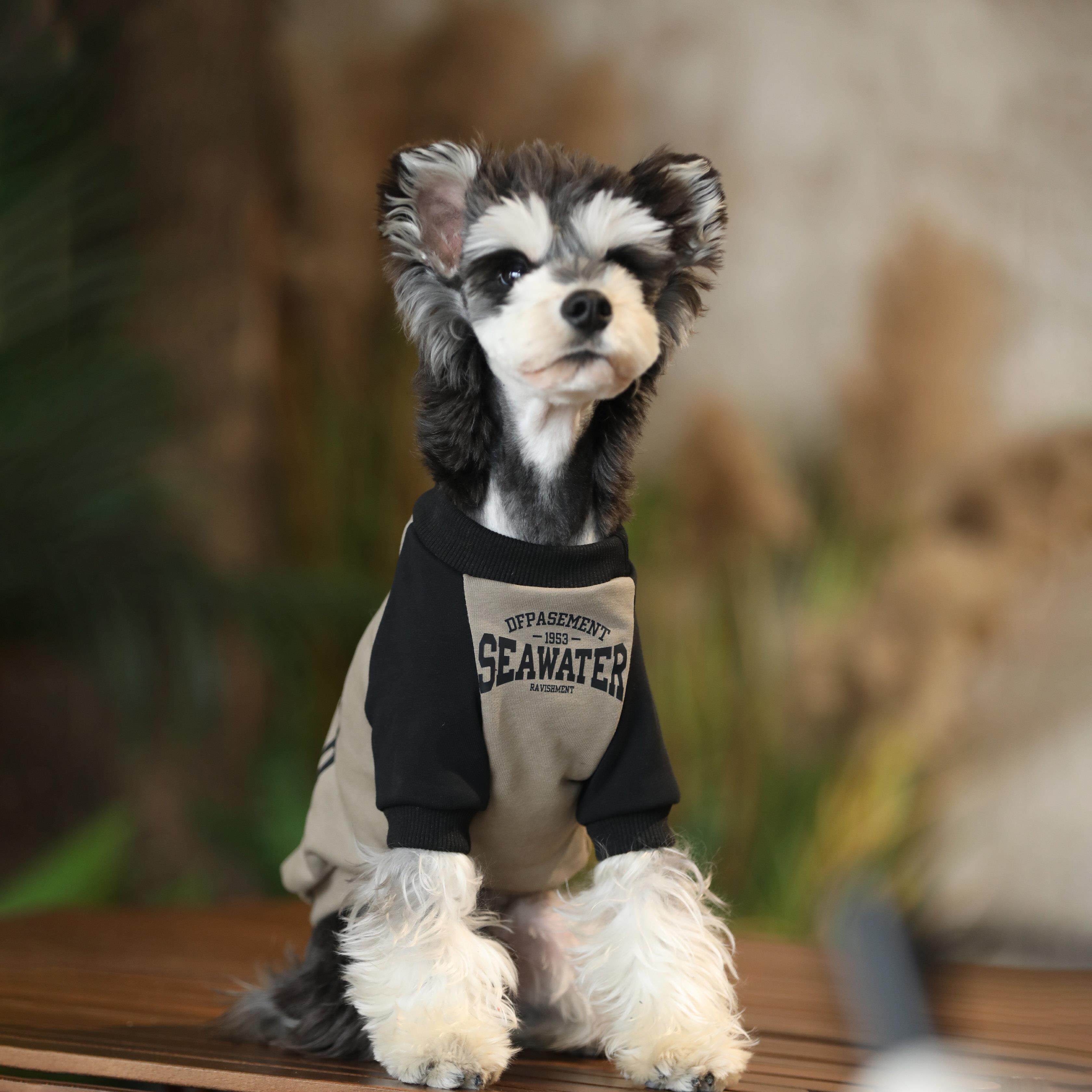 小狗衣服中小型犬泰迪博美雪纳瑞连帽春秋款卫衣宠物防掉毛狗衣服