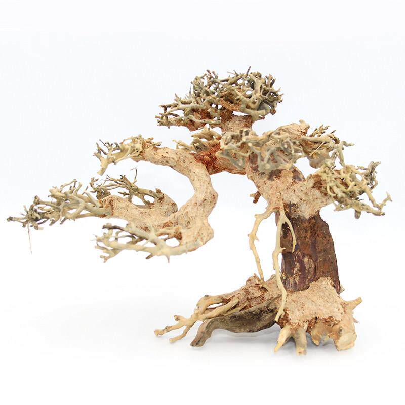 巴西树沉木迎客松鱼缸造景木头草缸大号大型莫斯树成品杜鹃根骨架