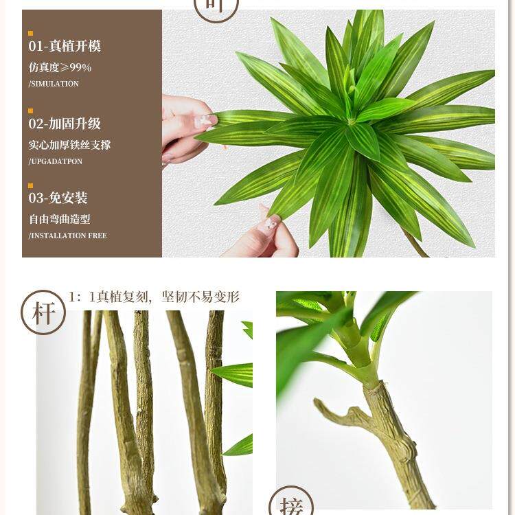 百合F98JM5T8竹植植盆栽大型绿室内装饰花客厅摆件落仿地树生假物