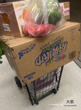 便购物买菜车小拉车家用折货叠轻手拖拉老人手拉行李快车递小97053推车