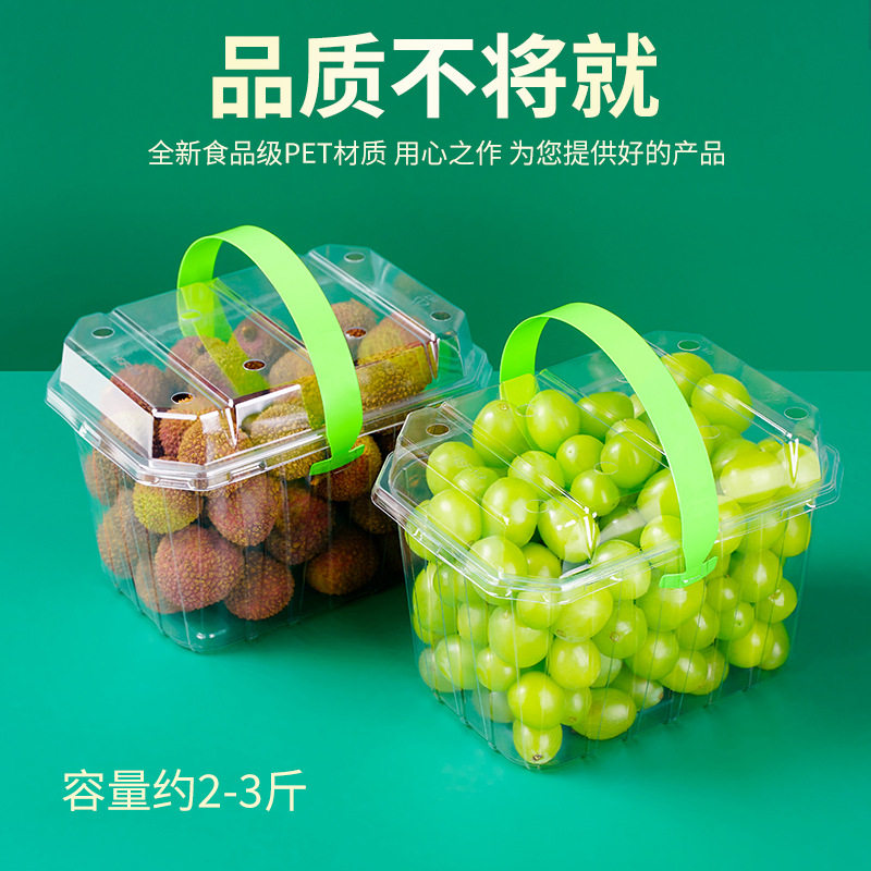 网红手提透明水果盒2斤装