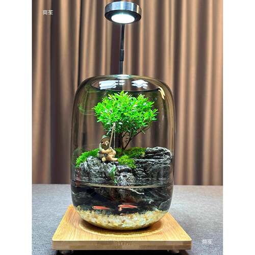 创意苔藓微景观ZFL办缸鱼缸面公瓶室摆件桌成品
