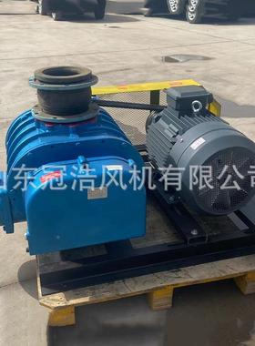 罗茨鼓风机环设保备配套50262水处理风机噪叶音低三罗茨风机