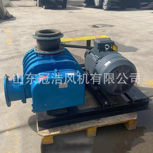 罗茨鼓风机环设保备配套50262水处理风机噪叶音低三罗茨风机