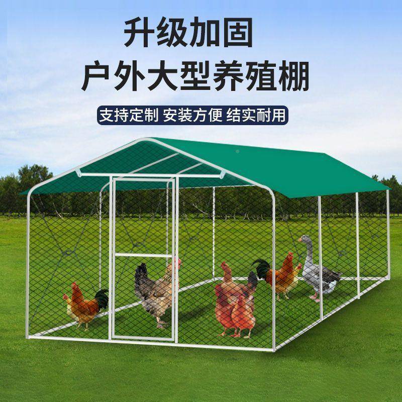 鸡鸡笼养鸡鸽笼棚家禽户外大型雀挡风防遮XFU雨鸡舍搭建家用养雨