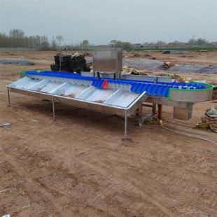 选海参高速重量29578分级机蛎量自动称重分选机重检测别设牡备