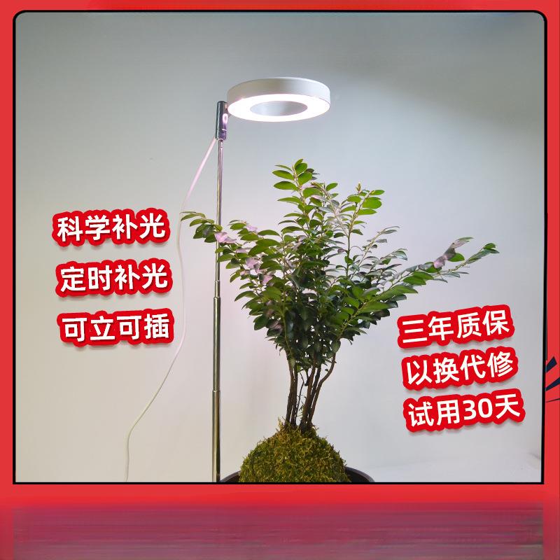 新款植植RJB内物补灯多肉生长灯全光谱室绿植上色光照定时物灯光W