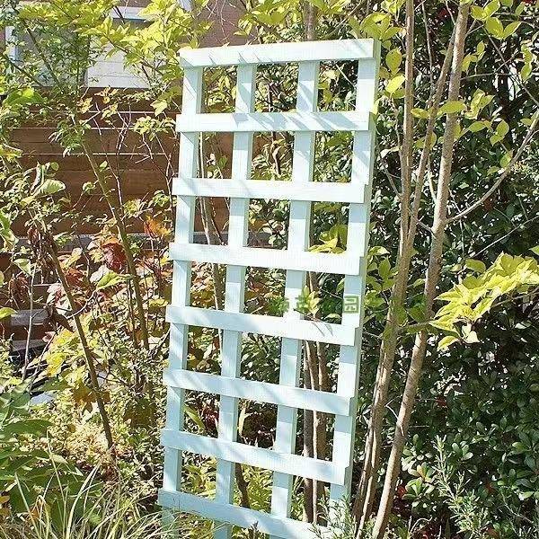 户外花园MPI网格木月季蔷日薇风车茉莉爬架攀爬靠墙支架式庭藤院