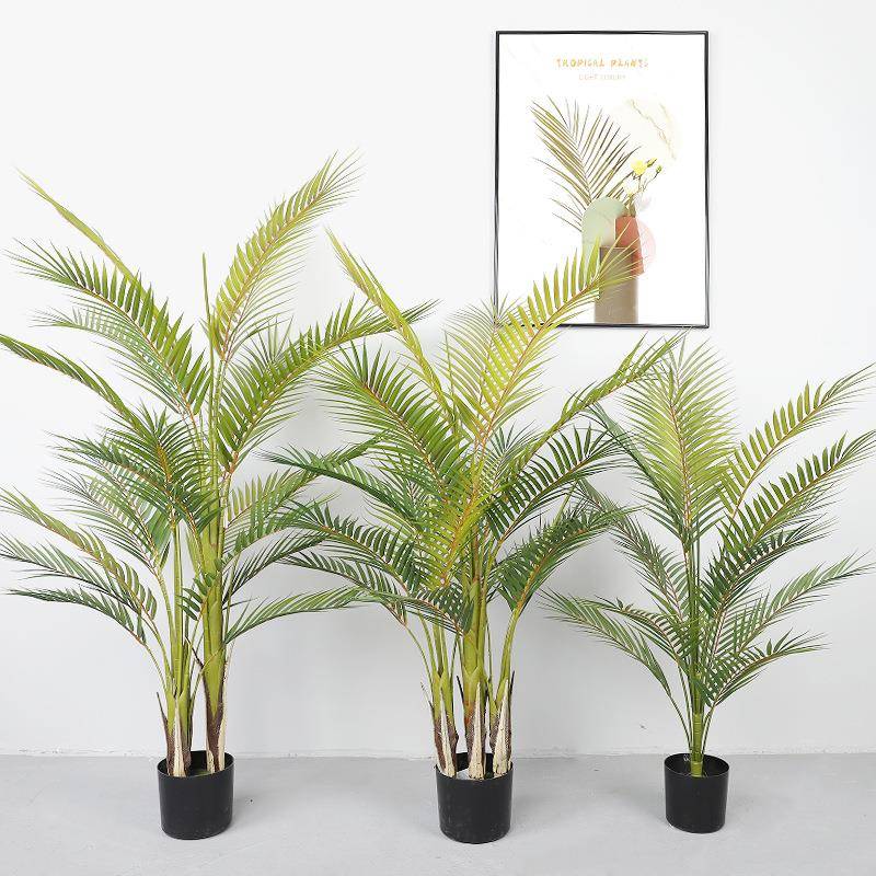 跨葵境仿真双色散尾葵装饰天竺栽室JFV内家盆居仿真绿植散尾葵