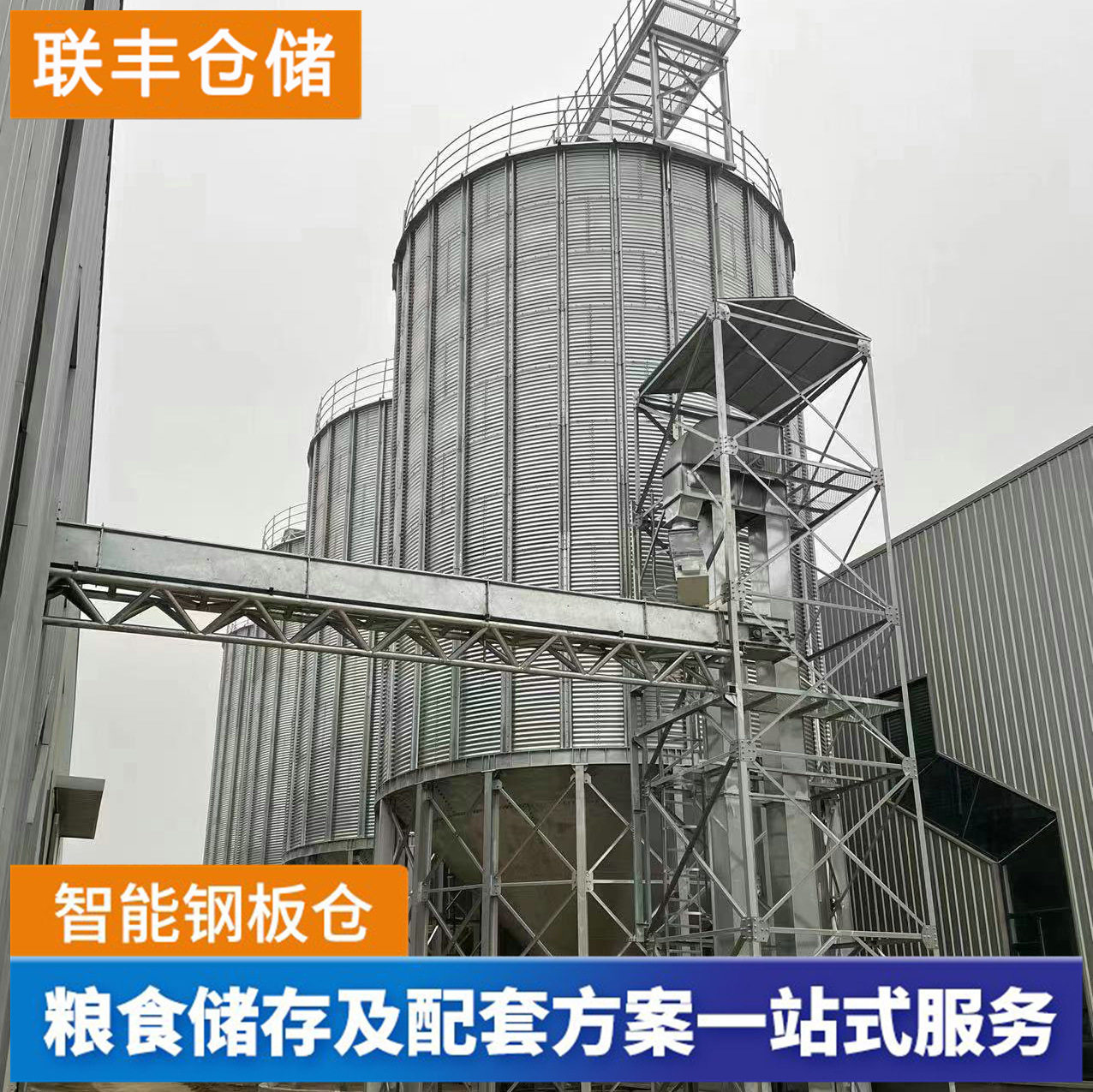 新品粮食钢板仓 热镀锌储存稻谷2000吨立筒仓 储备粮库散粮储存仓