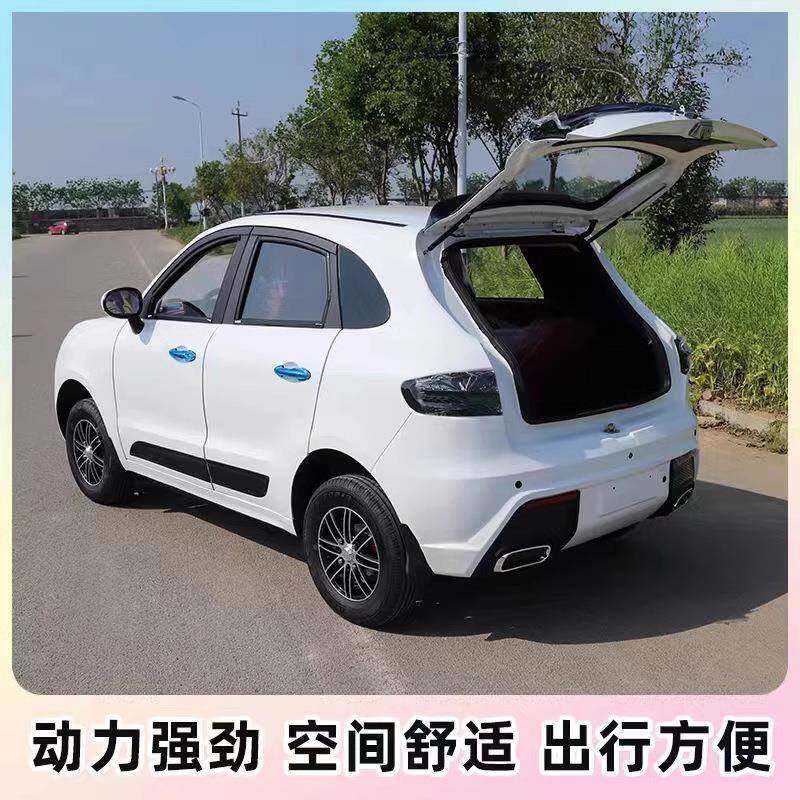 电动代步闭车家用老电人全封动瓶轿车油电电动四轮两用车电车山区