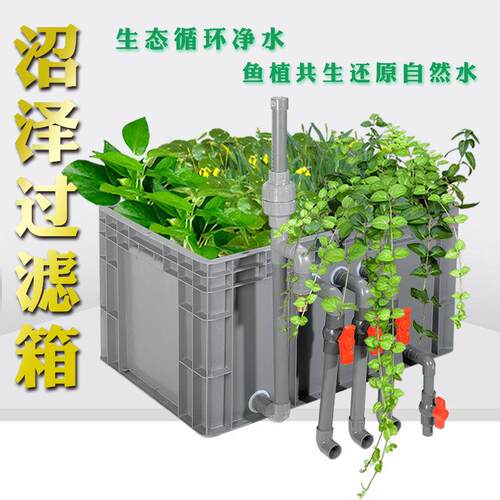 鱼滤池沼泽过箱鱼植y缸共生系统鱼乌龟生态过滤器自制diDPI水循环