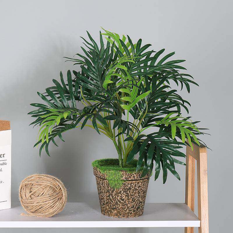 小盆栽仿真植物装绿萝叶小号盆栽龟背个性多肉室假绿植家居叶内桌,鲜花速递/花卉仿真/绿植园艺,仿真花,淘宝优惠券,粉丝福利购,淘宝优惠卷