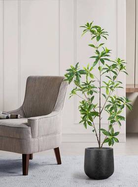 仿真马醉木植假绿落盆栽绿色植物红室内橱窗造景装严选包邮饰网地