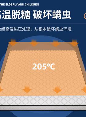 椰棕垫床垫棕硬垫护舍脊棕榈天然家用专FYR用宿垫床垫