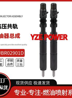 EJBR02D901共轨喷油器EJBR029033800-4X800适于现代Terrac用an车