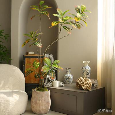 仿真SJR001植洒金榕北欧is风家居装饰大n型室内装饰树假树盆物栽