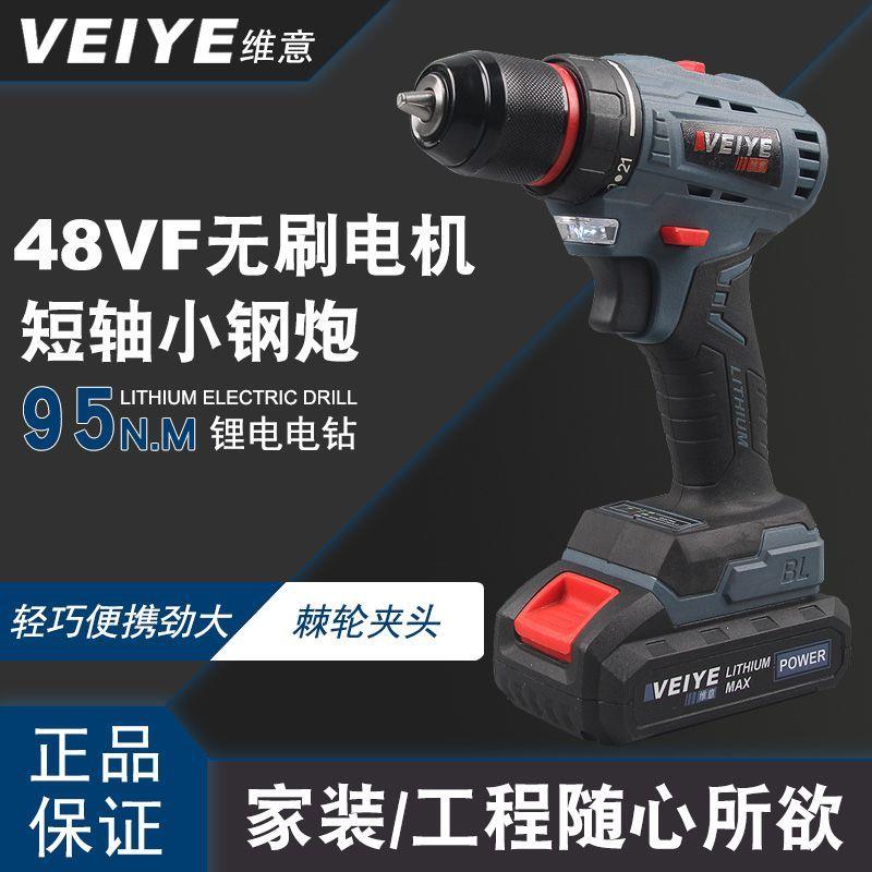 德国维意48VF大功率充电