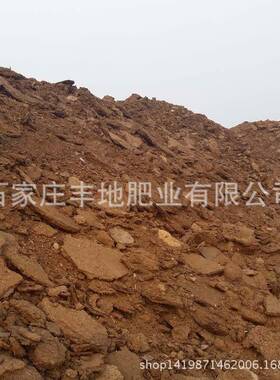 干羊粪生物有牛机羊肥高厂温发酵腐ITM熟粪粪肥料价格化肥家