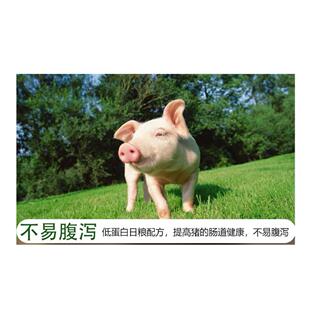 8%一大日猪预混中料买十送一袋配MJ828%料500斤拉伸骨架增重高