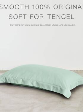 亲肤保OOF丝用滑凉感6枕0支兰精天丝单品套莱赛尔家枕头护套一对